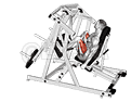 Lever Alternate Leg Press demonstration