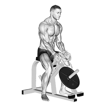 Lever Gripper Hands demonstration
