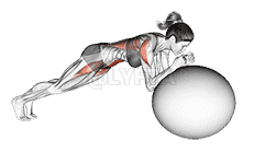 Stability Ball Rollout demonstration