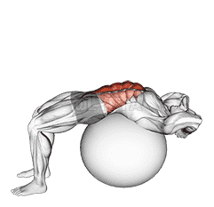 Stability Ball Crunch demonstration