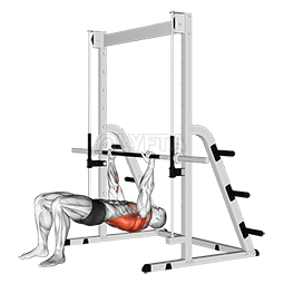 Inverted Row Bent Knees demonstration