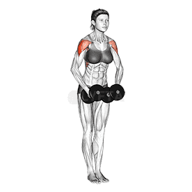 Dumbbell Standing Bent Arm Lateral raise demonstration