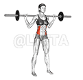 Barbell Standing Twist demonstration