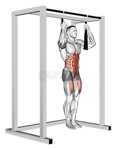 Arm slingers Hanging Straight Legs demonstration