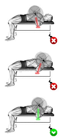 Chest Bench Press - Forearms demonstration