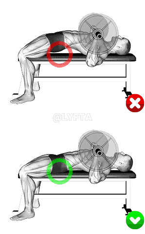 Chest Bench Press - Butt demonstration