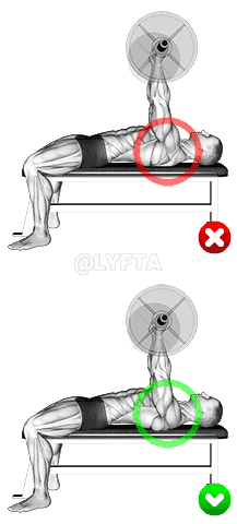 Chest Bench Press - Shoulders demonstration