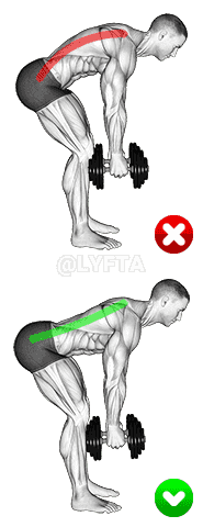 Bent-over Row - Back demonstration