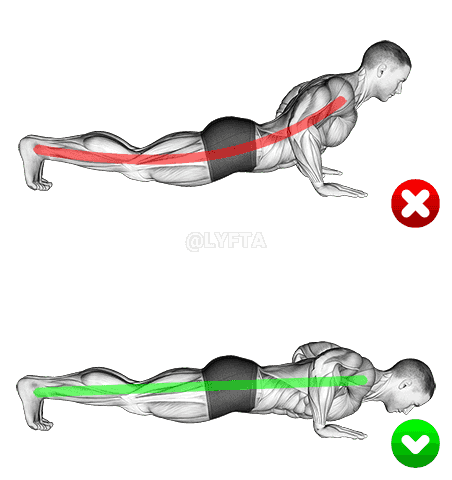 Push-up - End position demonstration