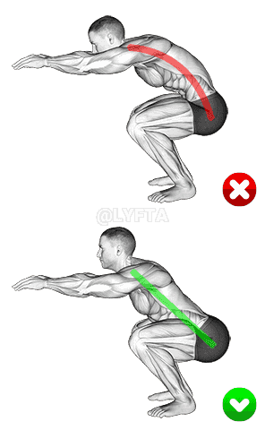 Squat - Back demonstration
