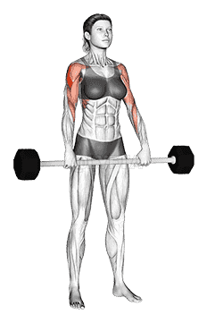Barbell Shoulder Grip Upright Row demonstration