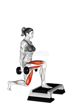Dumbbell Rear Lunge from Step demonstration