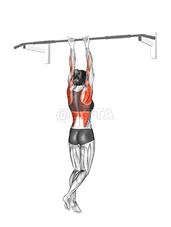 Close-Grip Chin-Up demonstration