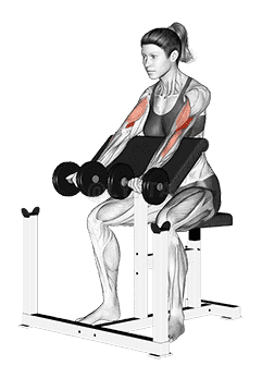 Dumbbell Preacher Curl demonstration