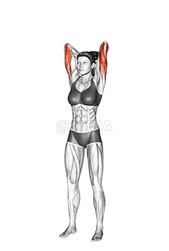 Dumbbell Standing Triceps Extension demonstration