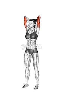 Dumbbell Standing Triceps Extension demonstration