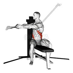 Cable Seated Twist demonstration