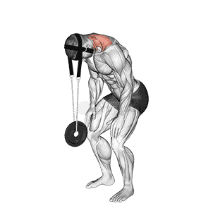Weighted Standing Neck Extension demonstration