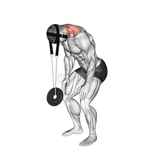 Weighted Standing Neck Extension demonstration