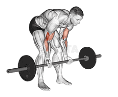 Barbell Standing Concentration Curl demonstration