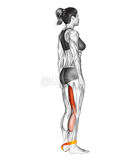 Resistance Band Leg Curl demonstration