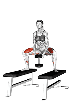 Dumbbell Sumo Squat off Benches demonstration