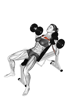 Dumbbell Incline Bench Press demonstration