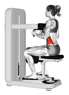 Lever Seated Twist demonstration