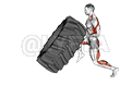 Tire Flip demonstration