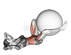 Exercise Ball Frog Crunch demonstration