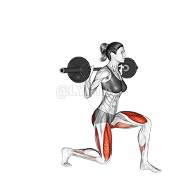 Barbell Lunge demonstration