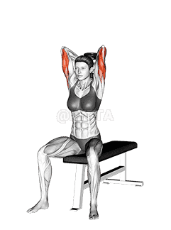 Dumbbell Seated Triceps Extension demonstration
