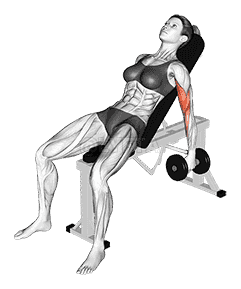 Dumbbell Incline Biceps Curl demonstration
