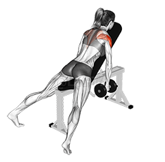 Dumbbell Incline Rear Fly demonstration