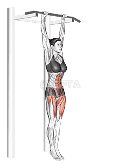 Hanging Straight Leg Raise demonstration