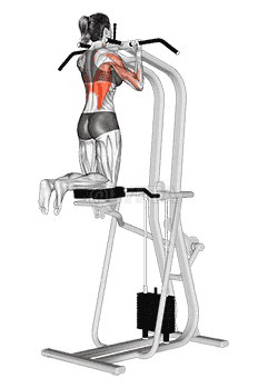 Assisted Close grip Underhand Chin up demonstration
