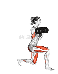 Dumbbell Lunge with Bicep Curl demonstration