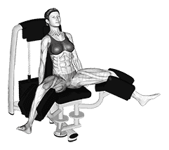 Lever Seated Hip Adduction demonstration