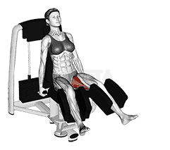 Lever Seated Hip Abduction demonstration