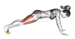 Resistance Band Plank March demonstration
