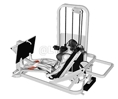Lever Seated Calf Press demonstration