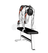 Side Up Jump Top Bench demonstration