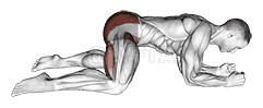 Rocking Frog Stretch demonstration