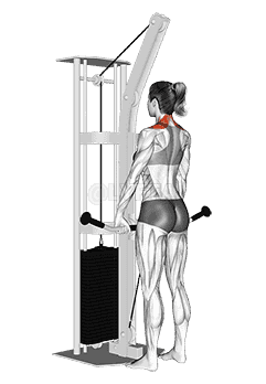 Cable Shrug demonstration
