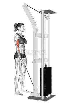 Cable One Arm Curl demonstration