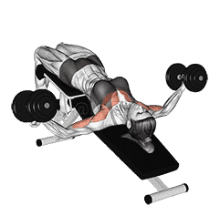 Dumbbell Decline Twist Fly demonstration
