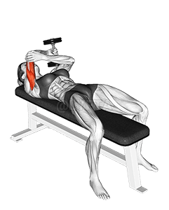 Dumbbell Lying One Arm Pronated Triceps Extension demonstration