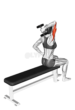 Dumbbell One Arm Triceps Extension demonstration