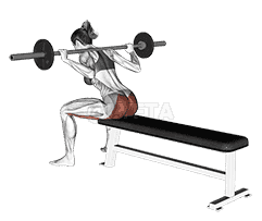 Barbell Seated Good morning demonstration
