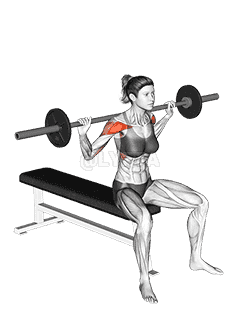Barbell Seated Behind Head Military Press demonstration